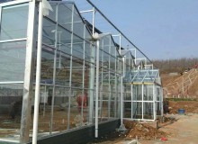 溫室大棚墻體建造過程中注意事項