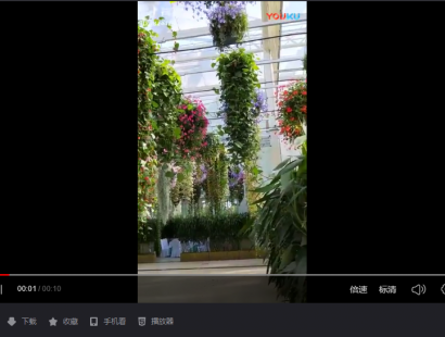 建造后的溫室餐廳