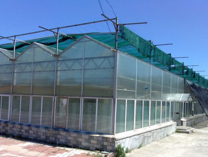 陽光板溫室
