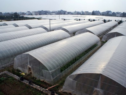 單體拱棚溫室