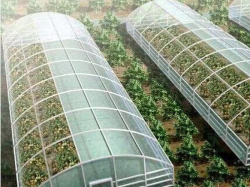 玻璃溫室