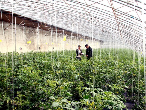 生態果蔬采摘園