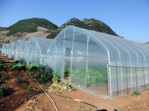 單體拱棚溫室
